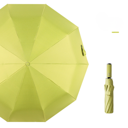 MAG+ 10 Spokes Umbrella